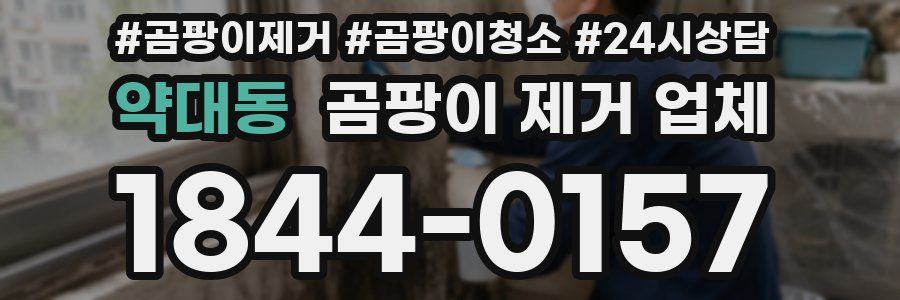 약대동 곰팡이 제거 업체