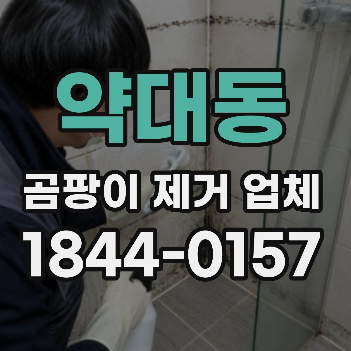 약대동 곰팡이 제거 업체