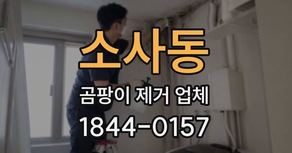 소사동 곰팡이 제거 업체
