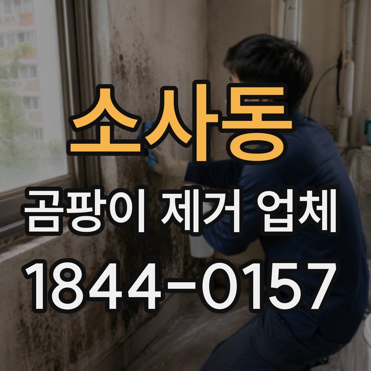 소사동 곰팡이 제거 업체
