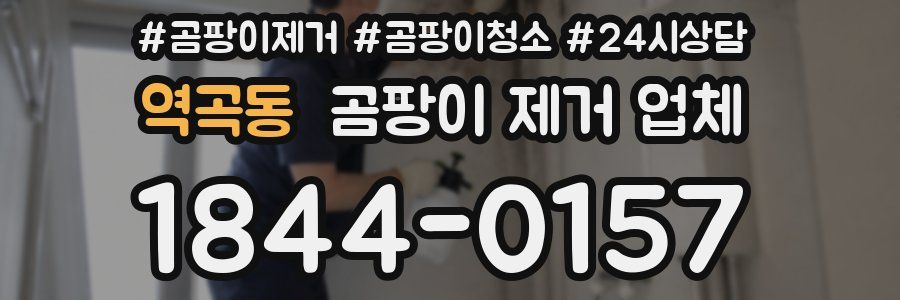 역곡동 곰팡이 제거 업체