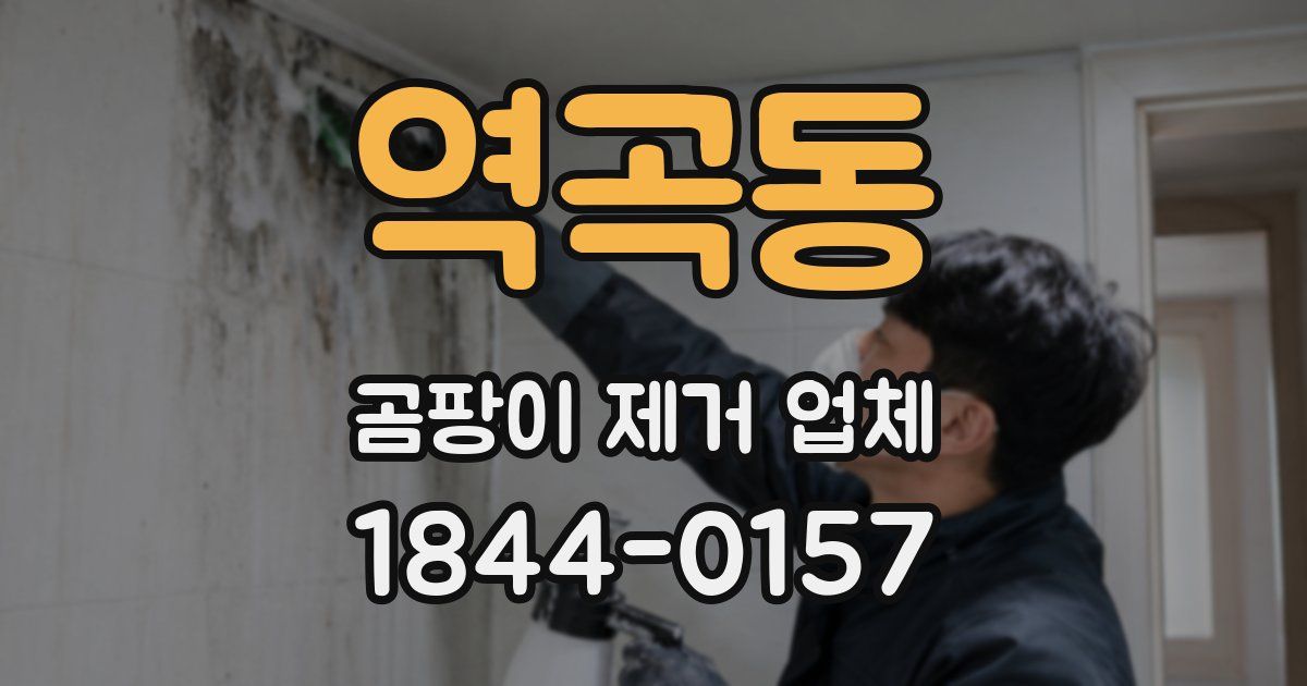 역곡동 곰팡이 제거 업체