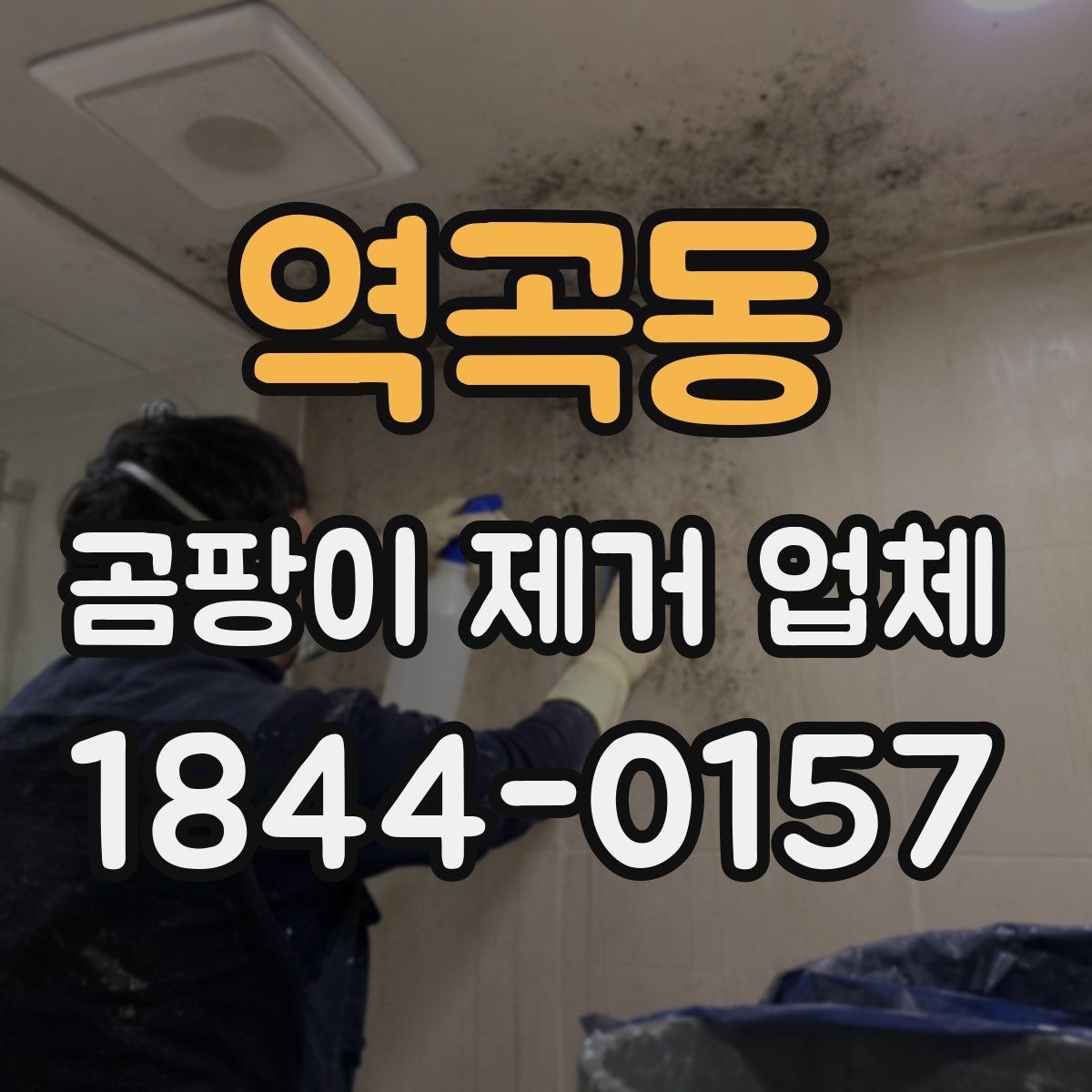 역곡동 곰팡이 제거 업체