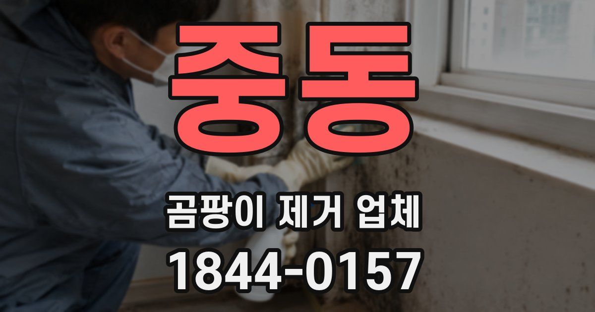 중동 곰팡이 제거 업체