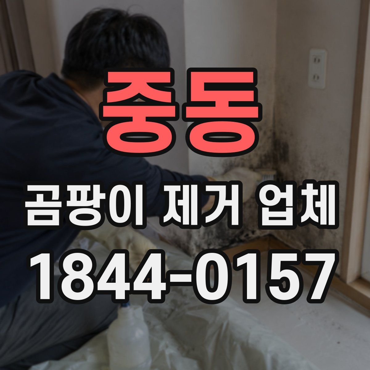 중동 곰팡이 제거 업체
