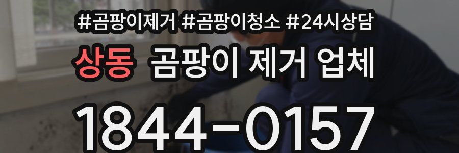 상동 곰팡이 제거 업체