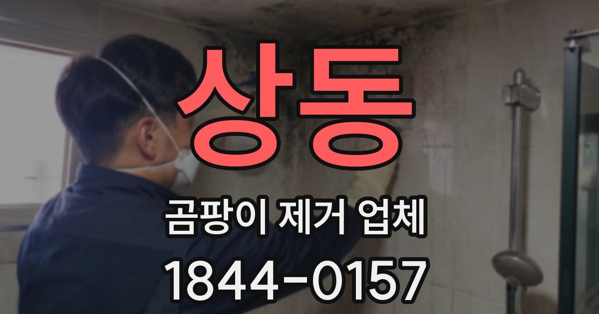 상동 곰팡이 제거 업체