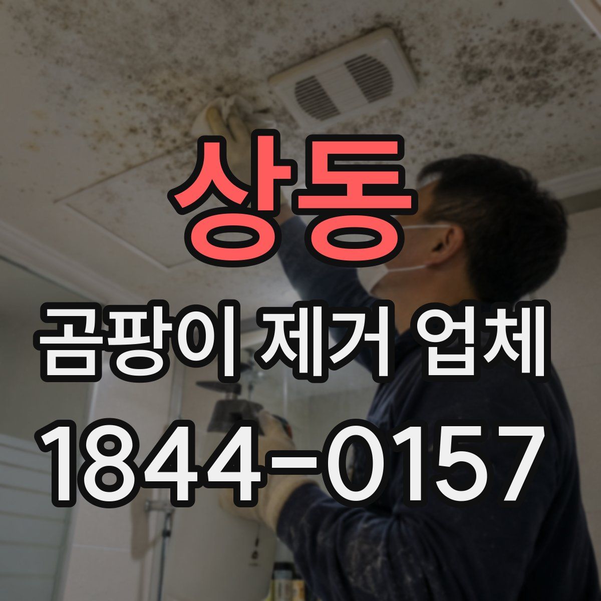 상동 곰팡이 제거 업체