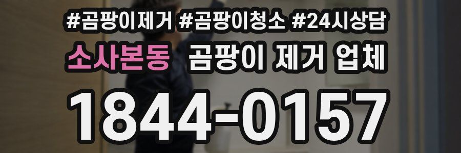 소사본동 곰팡이 제거 업체