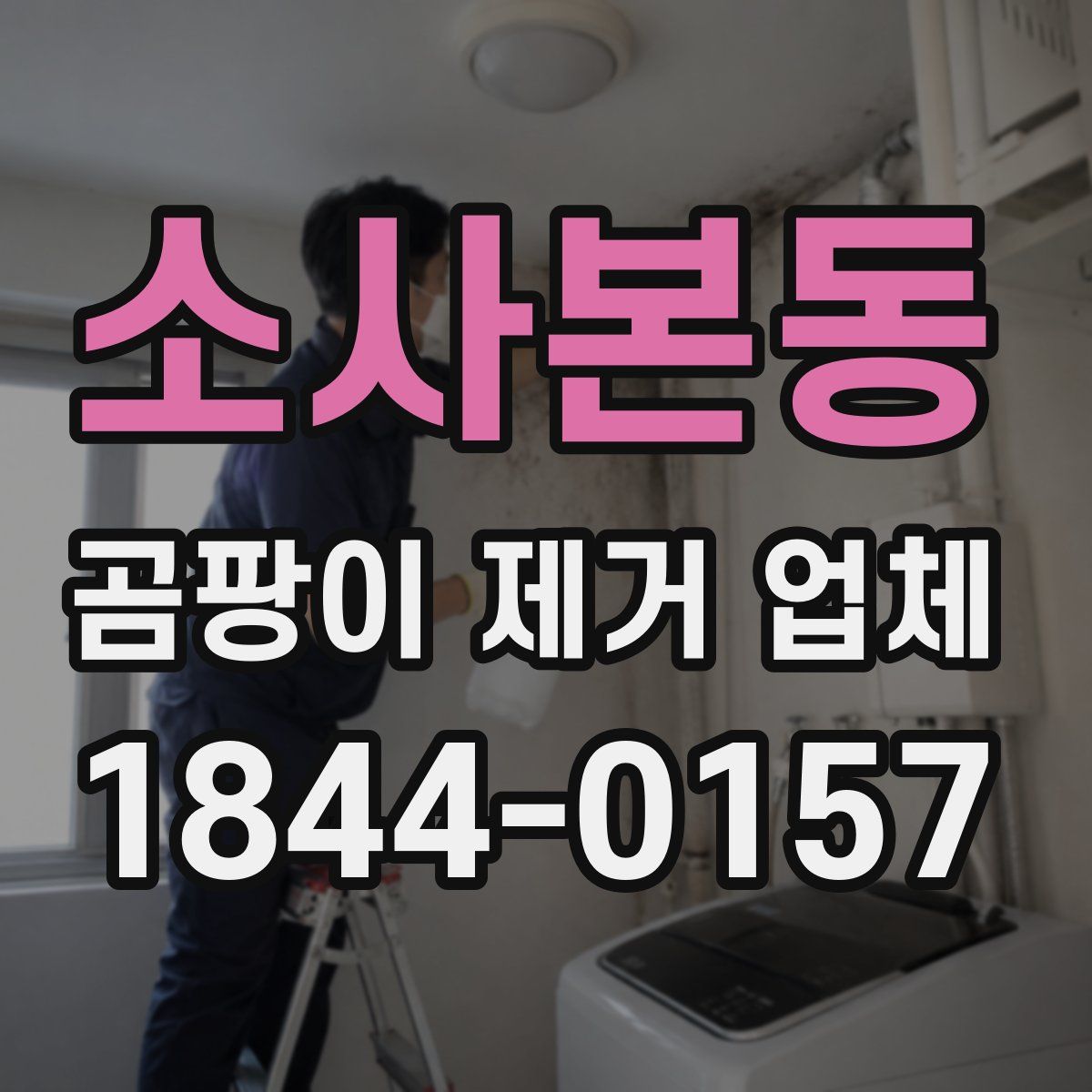 소사본동 곰팡이 제거 업체