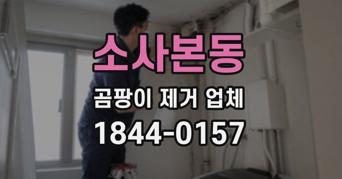 소사본동 곰팡이 제거 업체