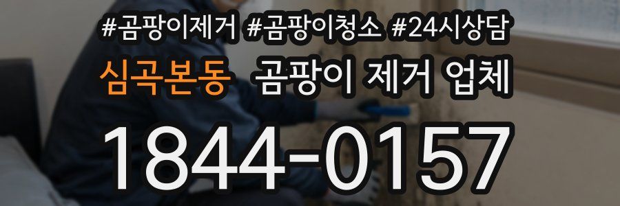 심곡본동 곰팡이 제거 업체