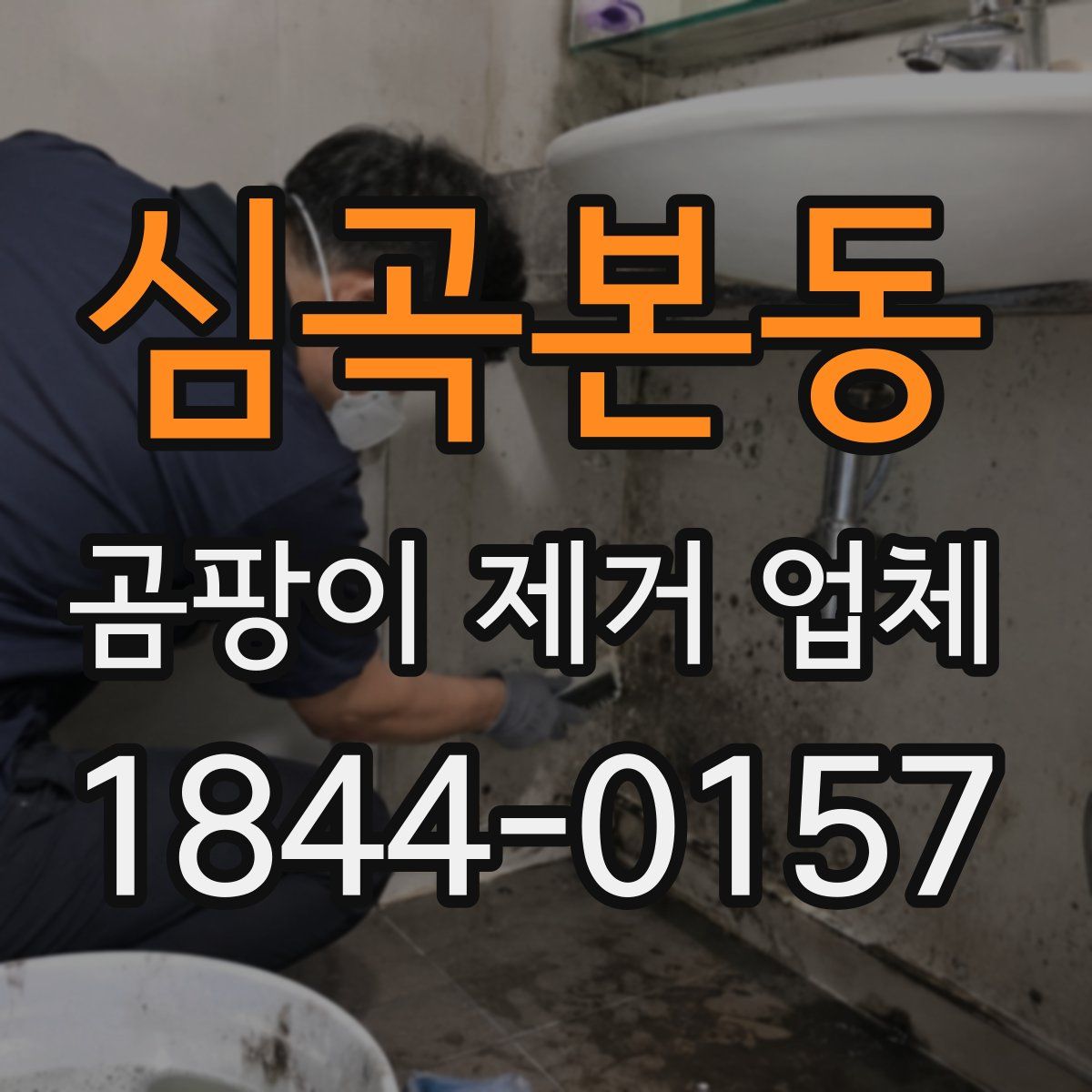 심곡본동 곰팡이 제거 업체