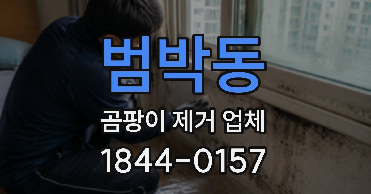 범박동 곰팡이 제거 업체