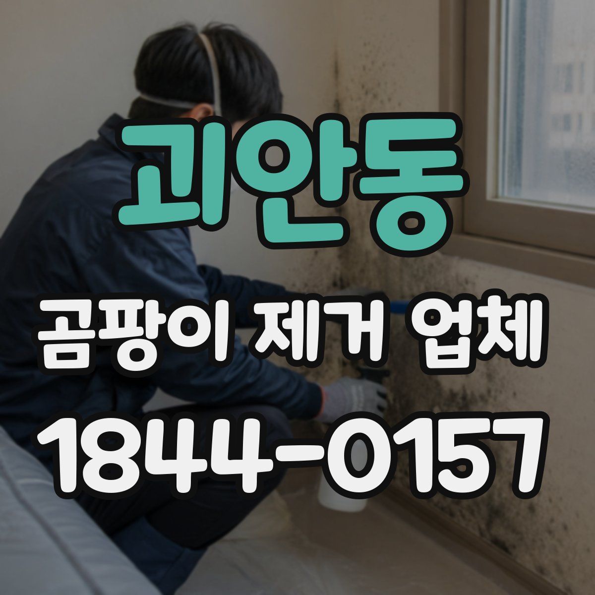 괴안동 곰팡이 제거 업체