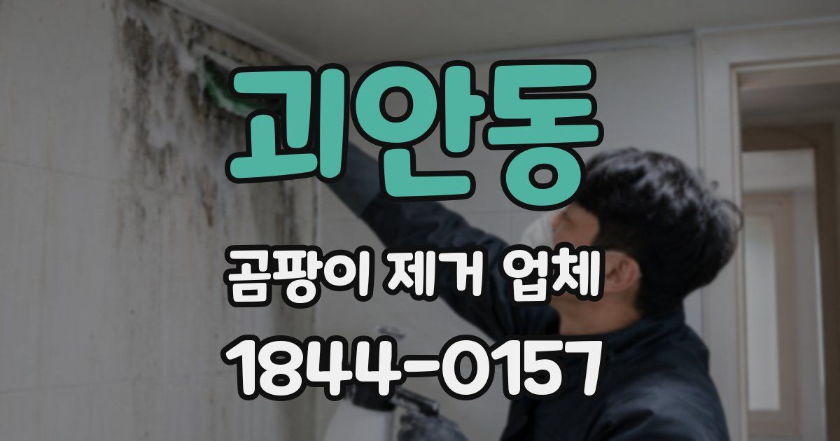 괴안동 곰팡이 제거 업체