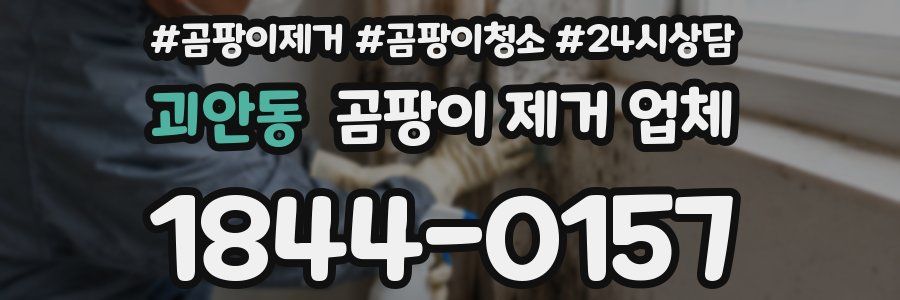 괴안동 곰팡이 제거 업체