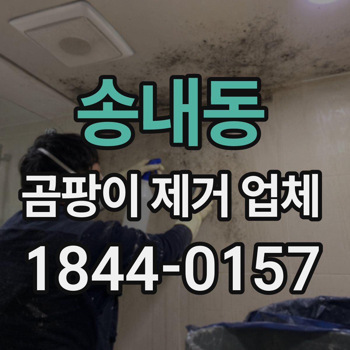 송내동 곰팡이 제거 업체