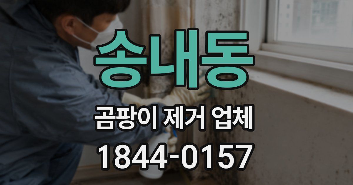 송내동 곰팡이 제거 업체