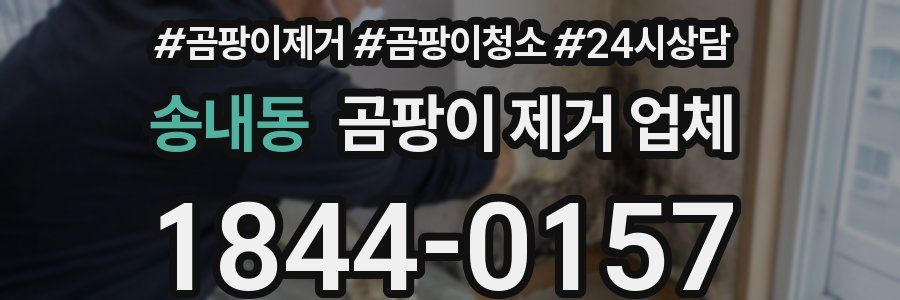 송내동 곰팡이 제거 업체