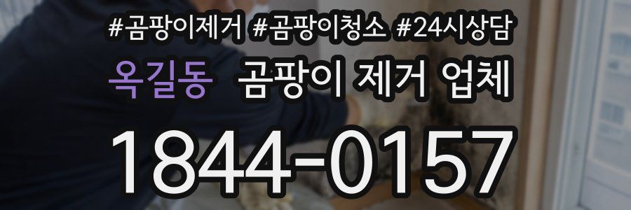 옥길동 곰팡이 제거 업체