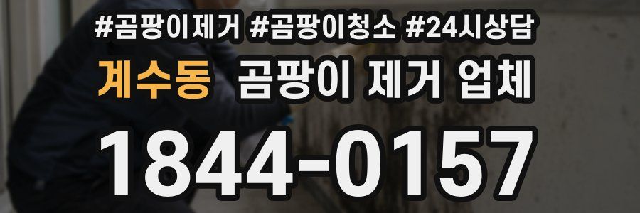 계수동 곰팡이 제거 업체