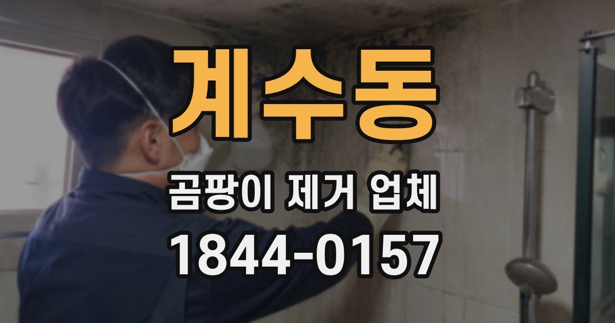 계수동 곰팡이 제거 업체