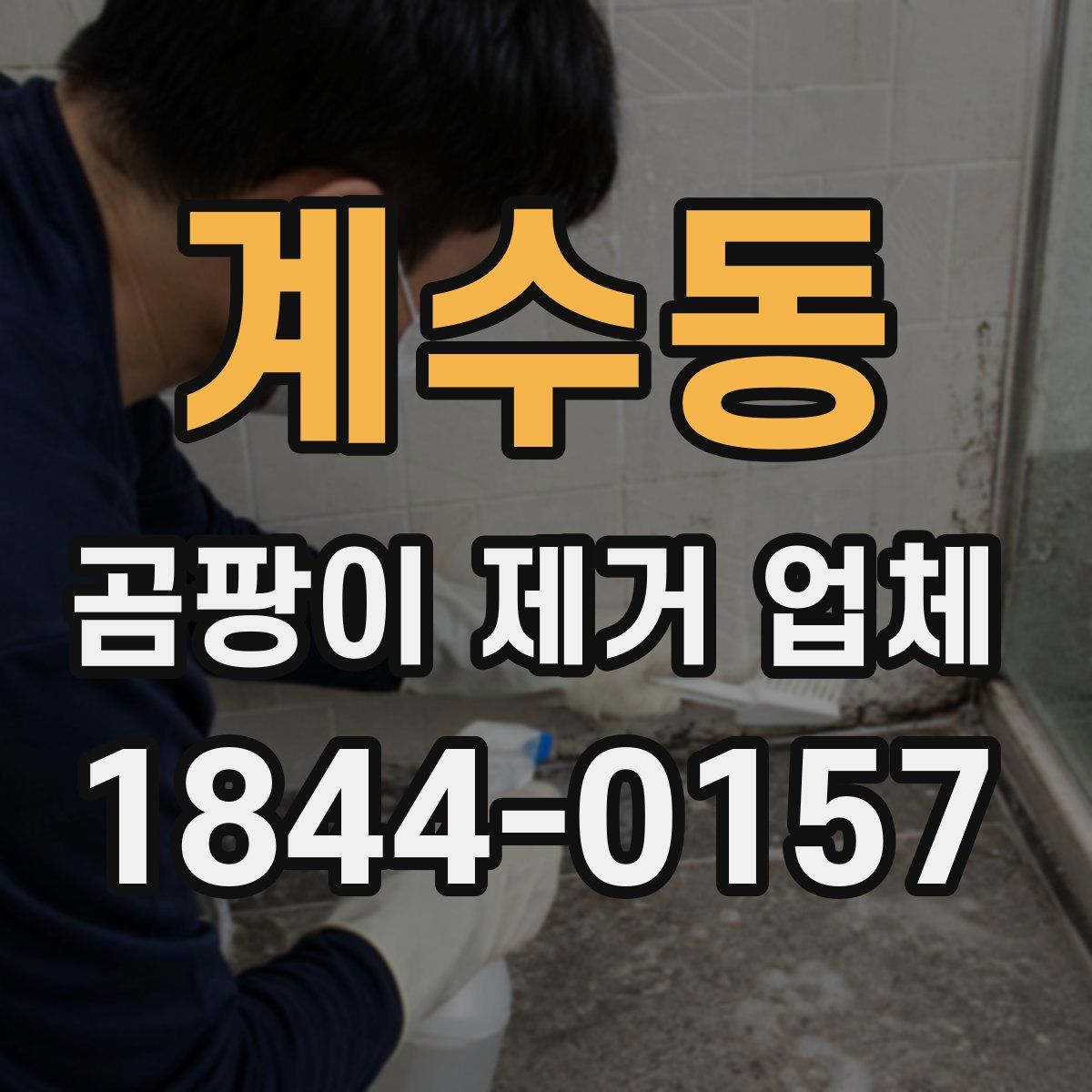 계수동 곰팡이 제거 업체