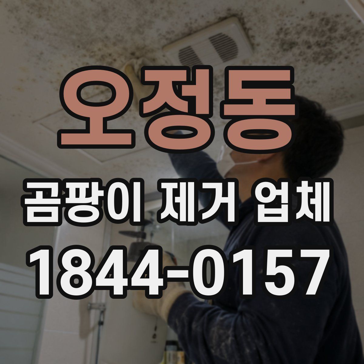 오정동 곰팡이 제거 업체