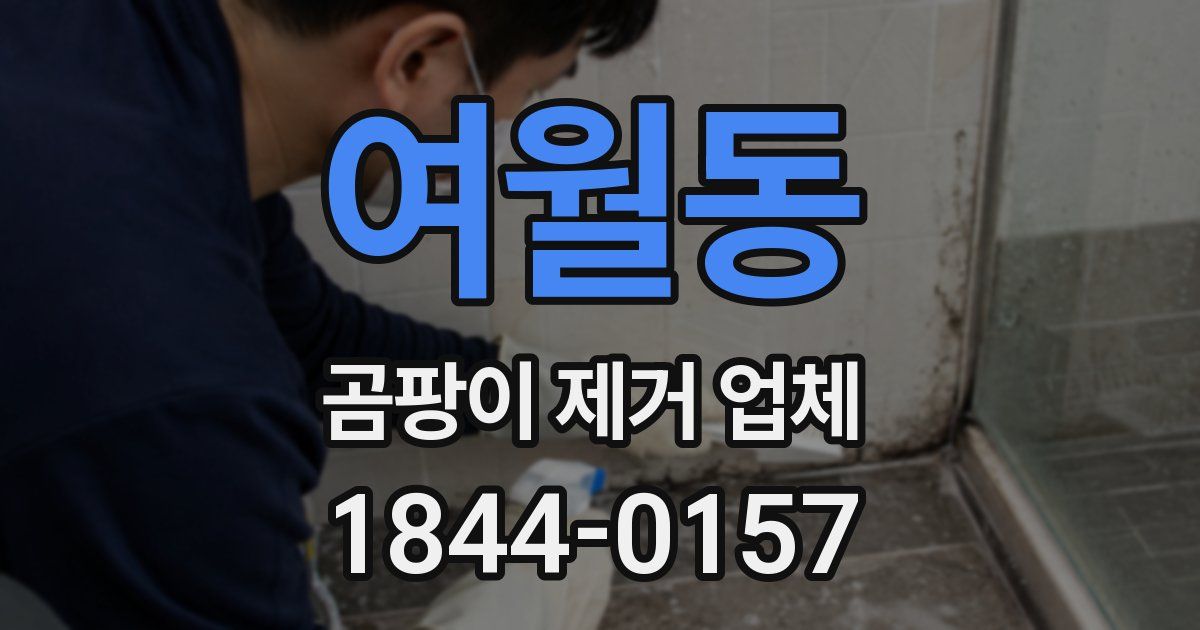 여월동 곰팡이 제거 업체