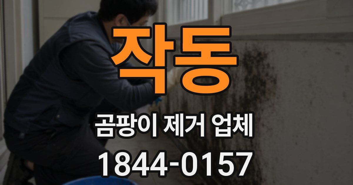 작동 곰팡이 제거 업체