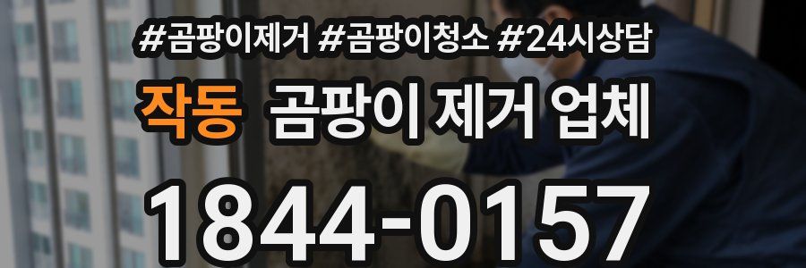 작동 곰팡이 제거 업체
