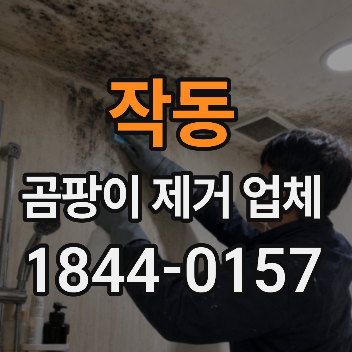 작동 곰팡이 제거 업체