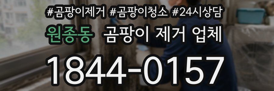 원종동 곰팡이 제거 업체