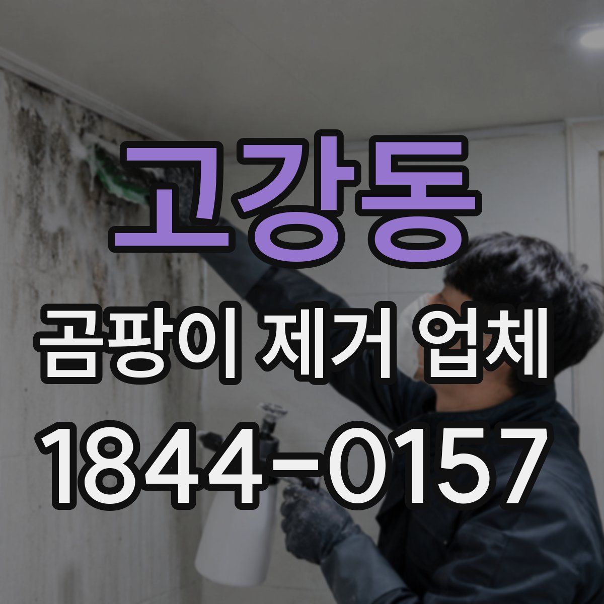 고강동 곰팡이 제거 업체