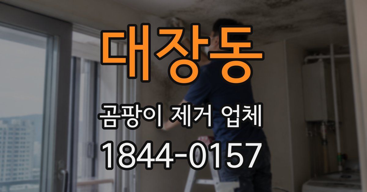 대장동 곰팡이 제거 업체