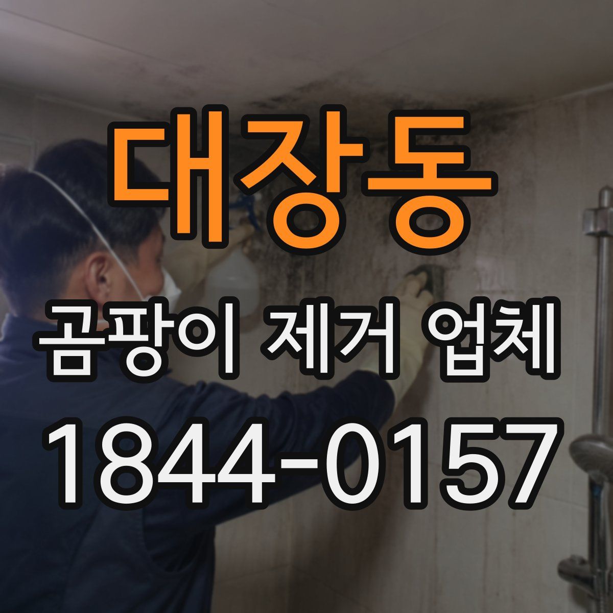 대장동 곰팡이 제거 업체