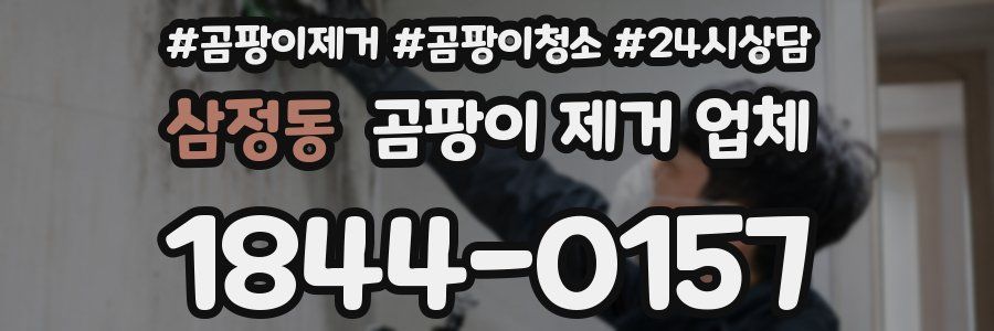 삼정동 곰팡이 제거 업체