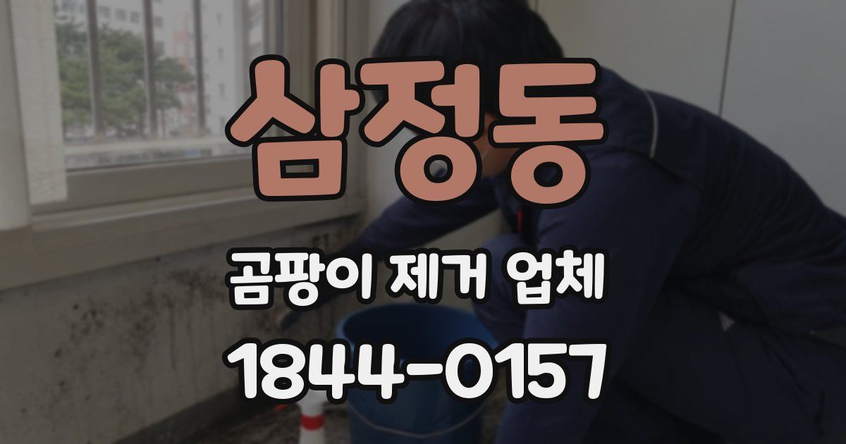 삼정동 곰팡이 제거 업체