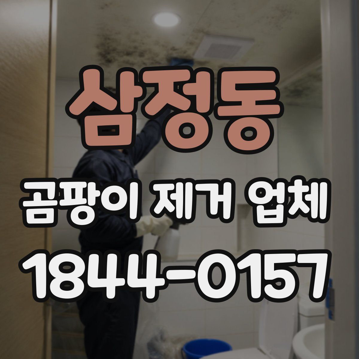 삼정동 곰팡이 제거 업체
