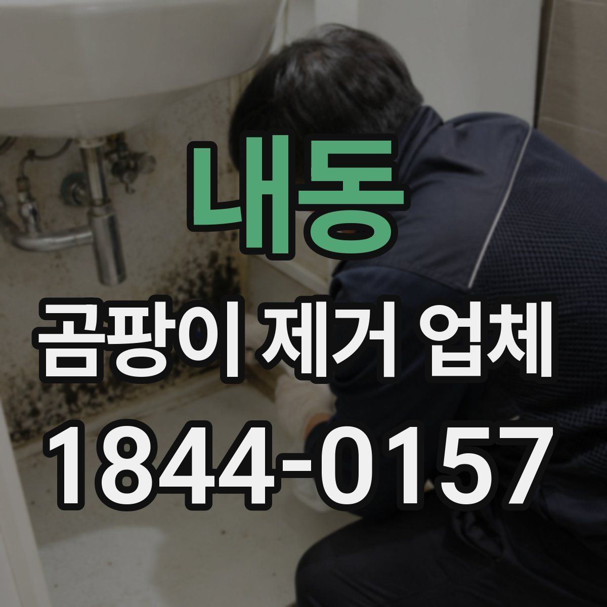 내동 곰팡이 제거 업체