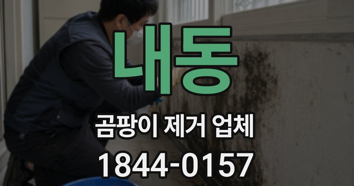 내동 곰팡이 제거 업체