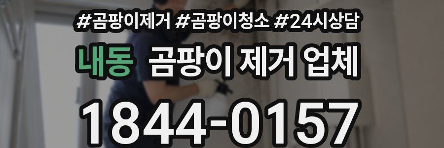 내동 곰팡이 제거 업체