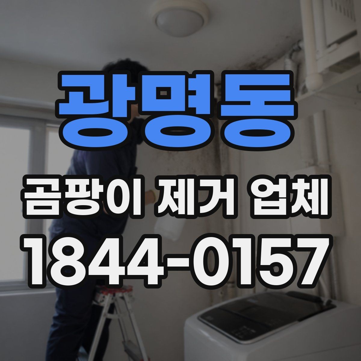 광명동 곰팡이 제거 업체 아이와 반려동물 있는 집의 작업 유의점