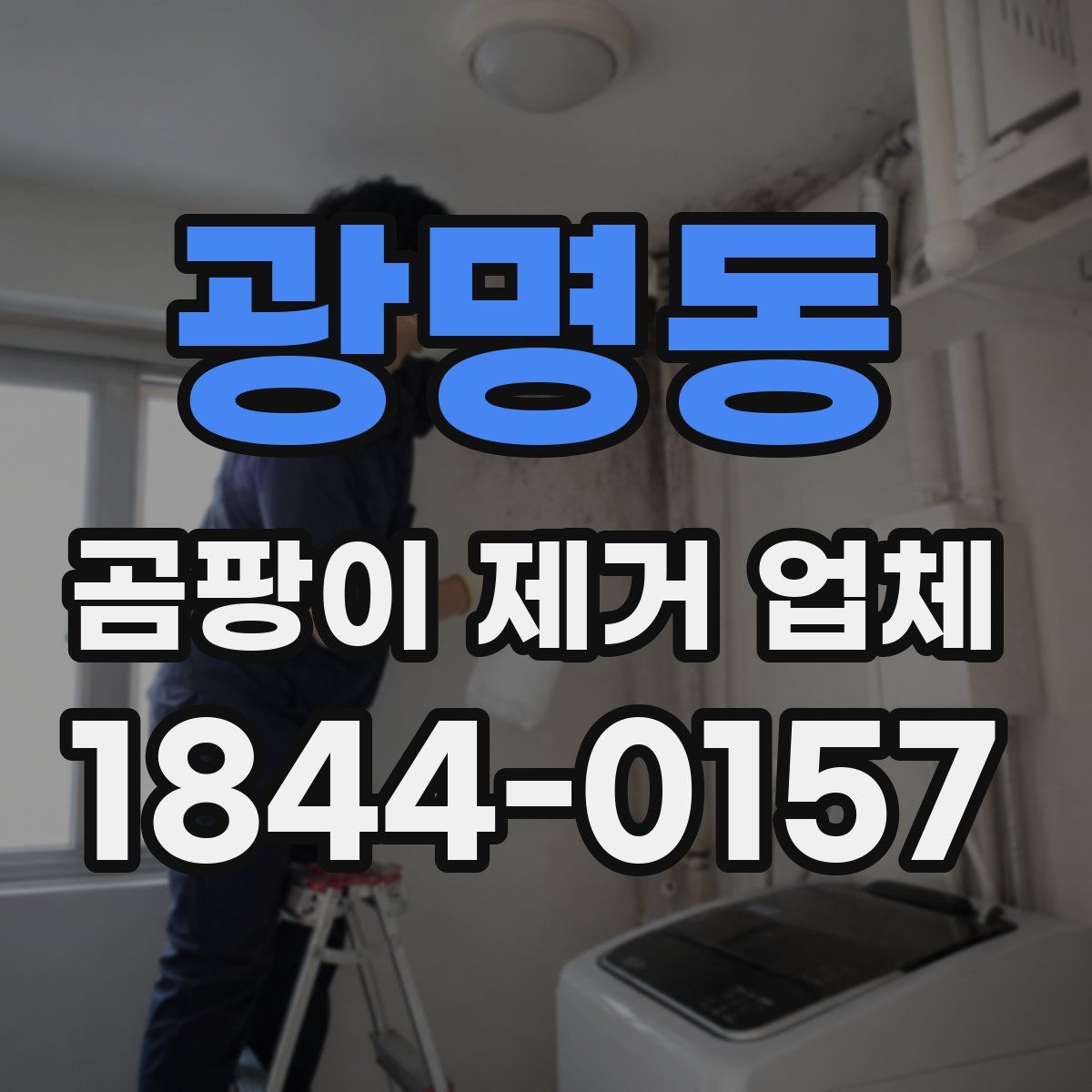 광명동 곰팡이 제거 업체