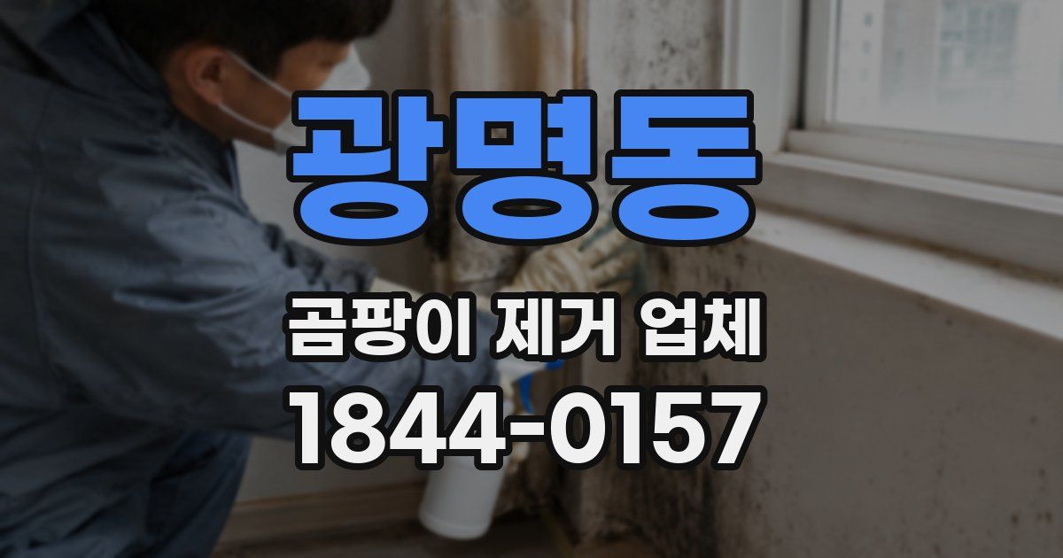 광명동 곰팡이 제거 업체