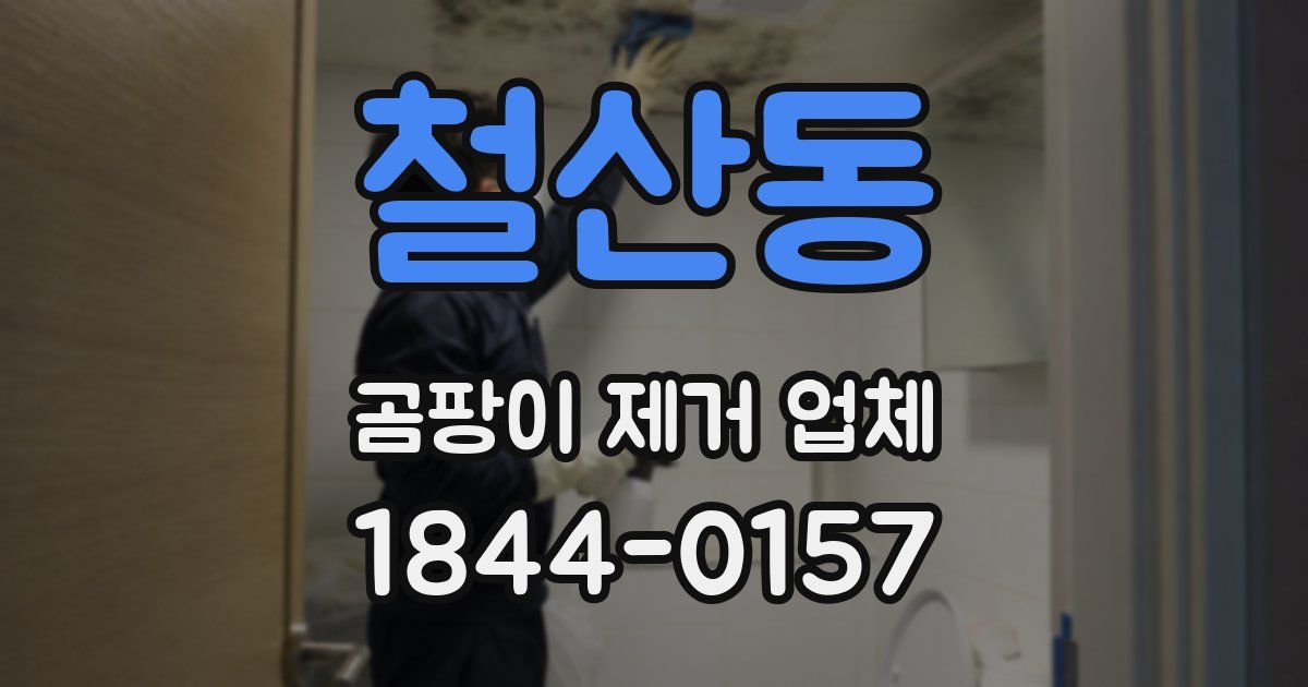 철산동 곰팡이 제거 업체