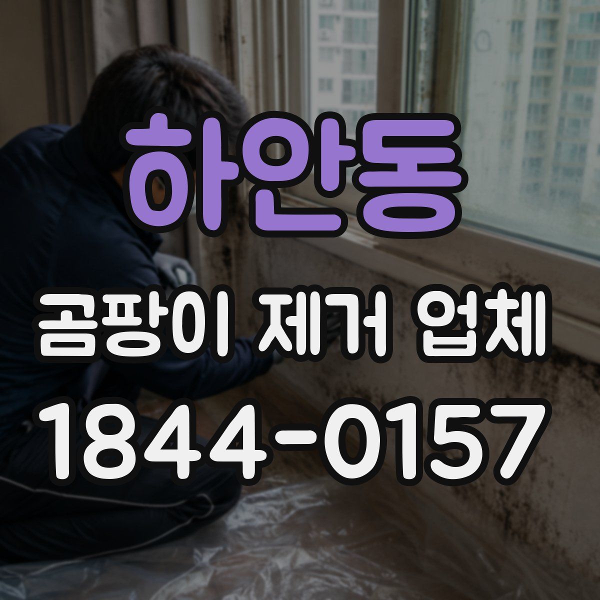 하안동 곰팡이 제거 업체