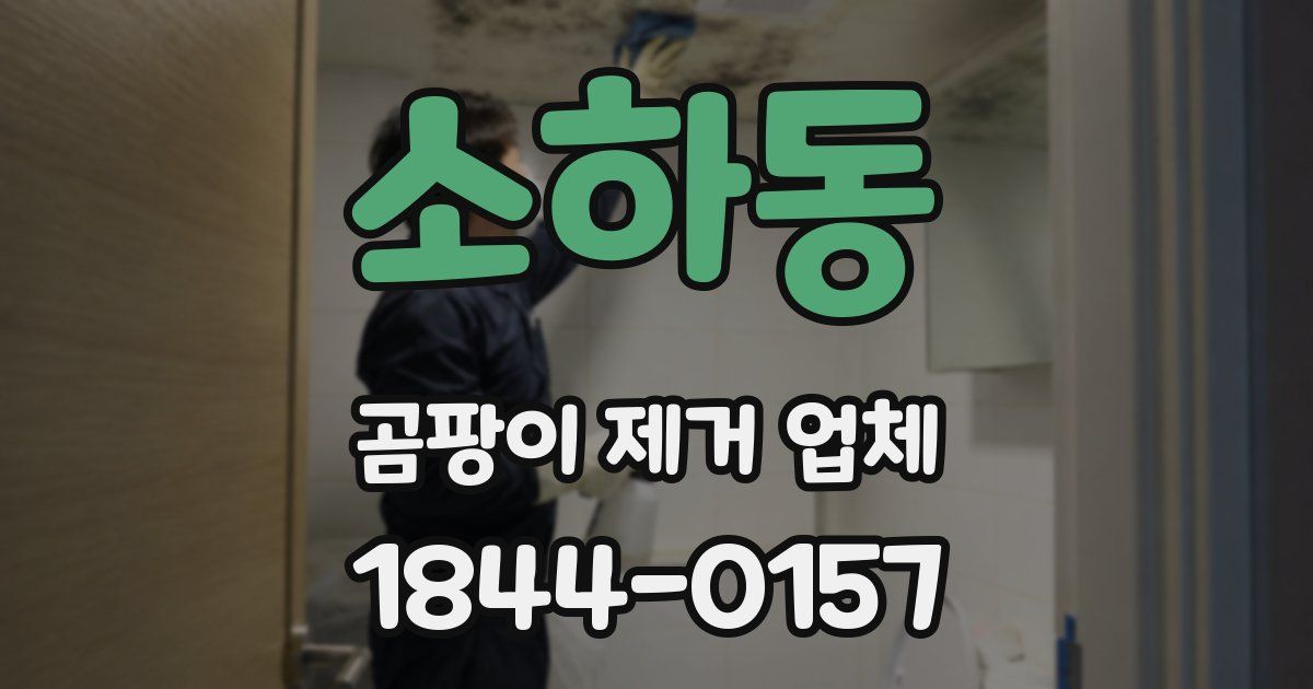 소하동 곰팡이 제거 업체