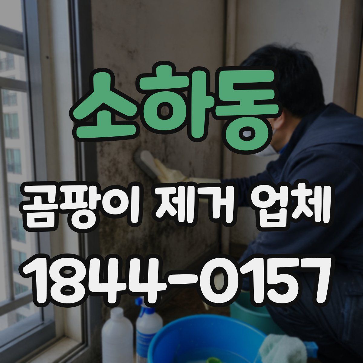소하동 곰팡이 제거 업체